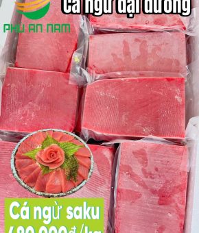 Cá Ngừ Đại Dương Tươi