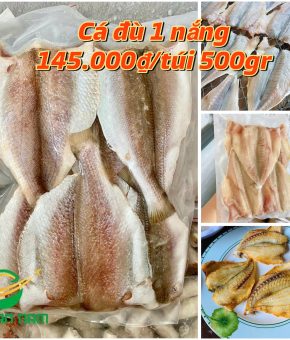 Cá đù 1 nắng